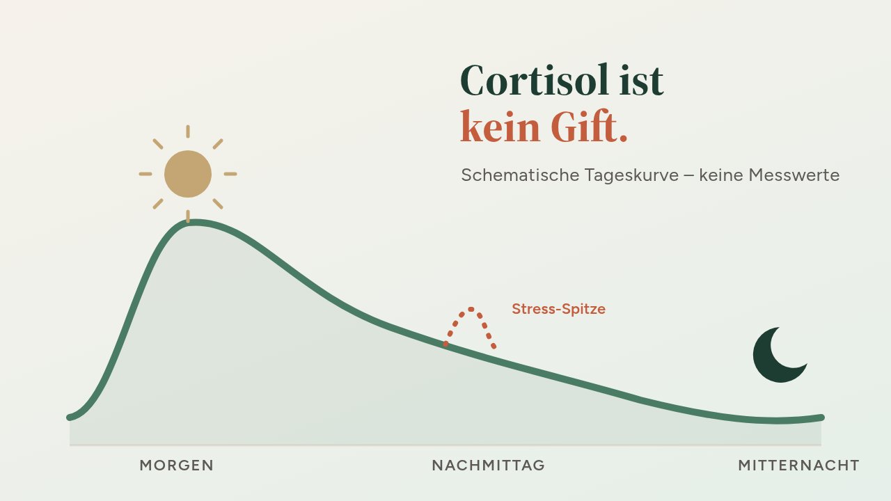 Grafik: schematische Cortisol-Tageskurve – morgens hoch, im Tagesverlauf fallend, nachts am tiefsten – mit Sonne und Mond auf cremefarbenem Grund